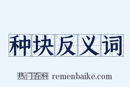 种块反义词是什么意思的图片